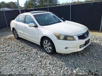  Salvage Honda Accord