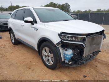  Salvage Kia Sorento