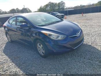  Salvage Hyundai ELANTRA