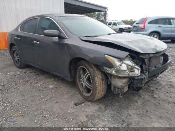  Salvage Nissan Maxima