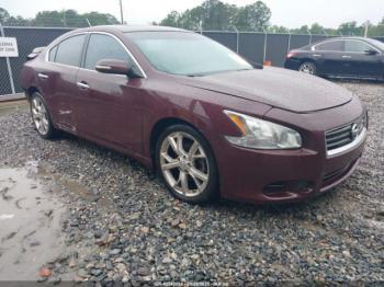  Salvage Nissan Maxima