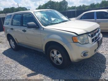  Salvage Ford Escape
