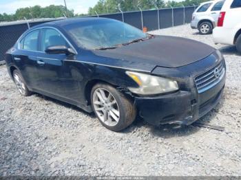  Salvage Nissan Maxima