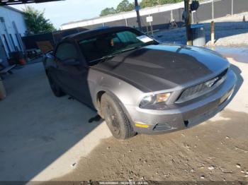  Salvage Ford Mustang