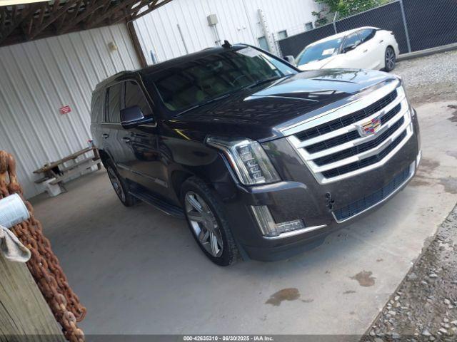  Salvage Cadillac Escalade