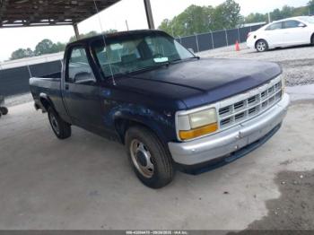  Salvage Dodge Dakota