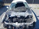 Dodge Charger Sxt Plus Rwd Image 4
