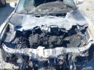 Dodge Charger Sxt Plus Rwd Image 5