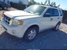 Ford Escape Xlt Image 7