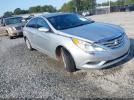 Hyundai SONATA Gls Image 1