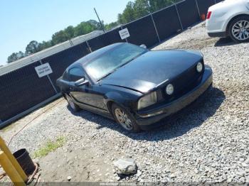  Salvage Ford Mustang