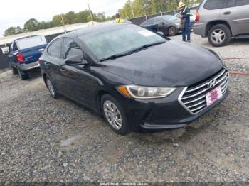  Salvage Hyundai ELANTRA