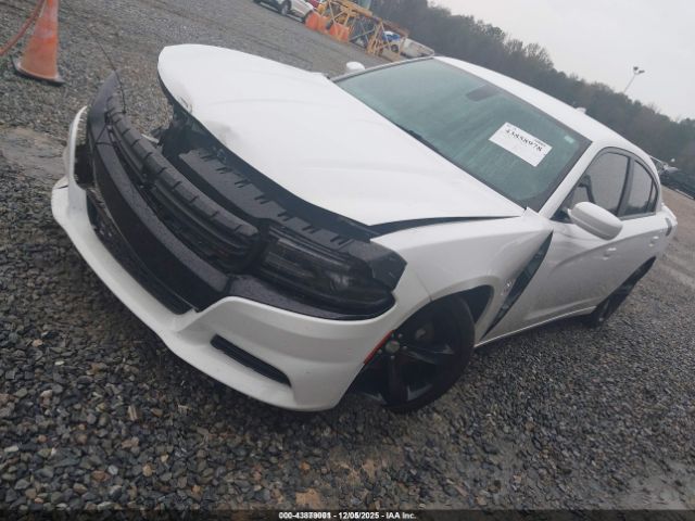 Dodge Charger Image 2