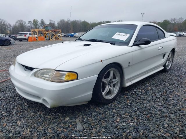Ford Mustang Svt Cobra Image 3