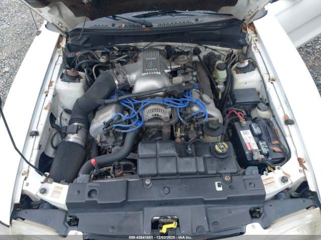 Ford Mustang Svt Cobra Image 6