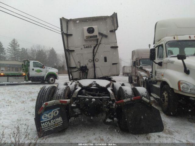 International Lt Image 3