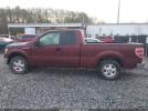 Ford F-150 Image 15