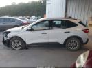 Ford Escape S Image 17